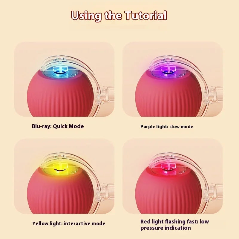 Rechargeable Interactive Electric Cat Toy