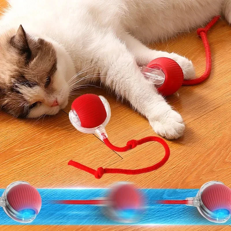 Rechargeable Interactive Electric Cat Toy