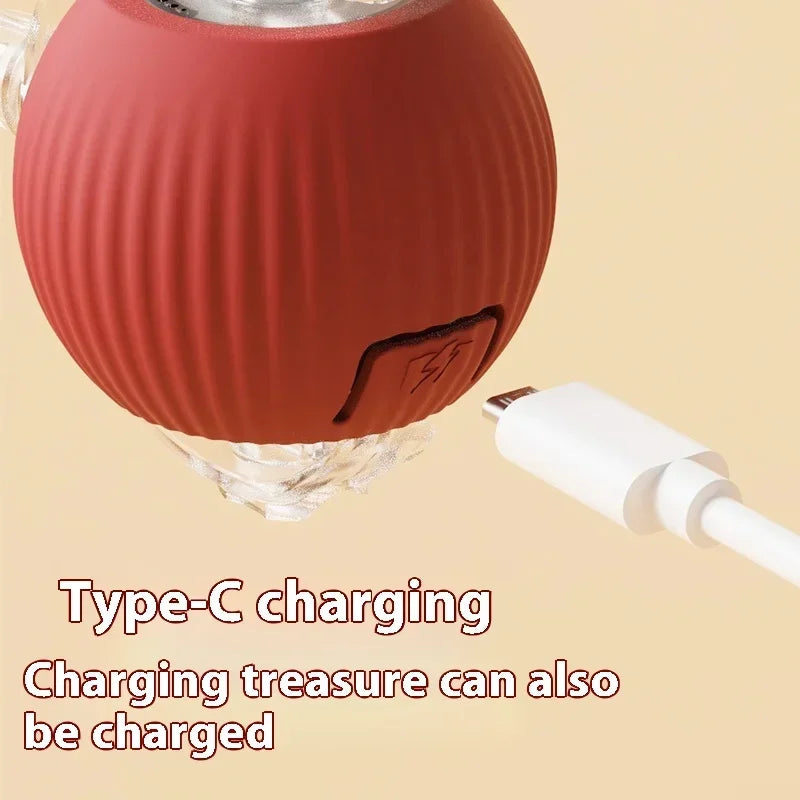 Rechargeable Interactive Electric Cat Toy