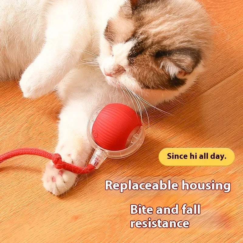 Rechargeable Interactive Electric Cat Toy