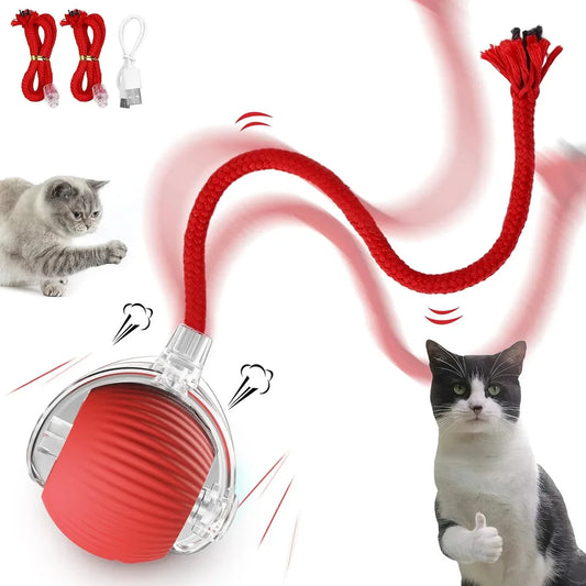 Rechargeable Interactive Electric Cat Toy